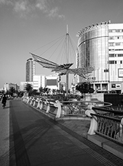 金安公司注册